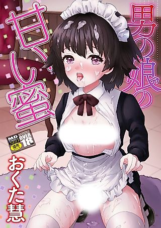 Cover image for the other called New Maid's First Time