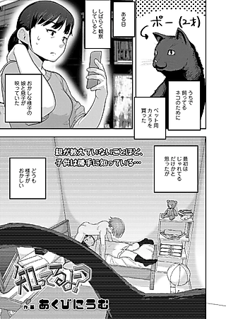 Cover image for the manga called Shitteru yo?