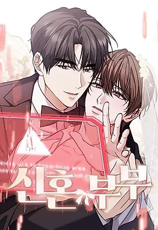 Cover image for the manhwa called Newlyweds