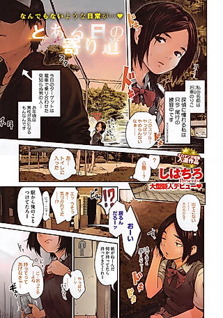 Cover image for the manga called A Certain Day's Wandering