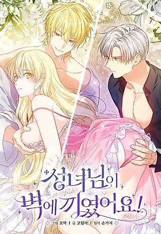 Cover image for the manhwa called The Saintess is Stuck in a Wall!