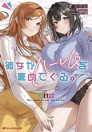 Cover image for the novel called She Recommends The Harem.