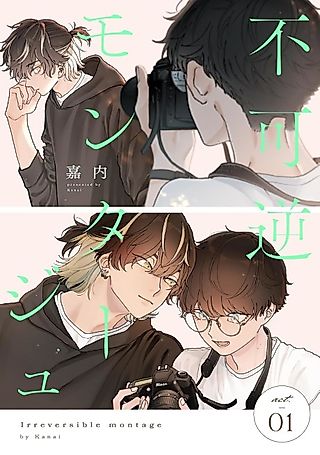 Cover image for the manga called Irreversible montage