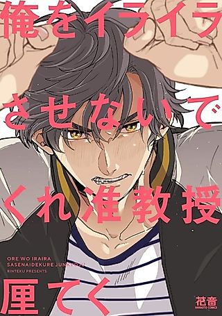 Cover image for the manga called Ore wo Iraira Sasenaidekure Junkyouju