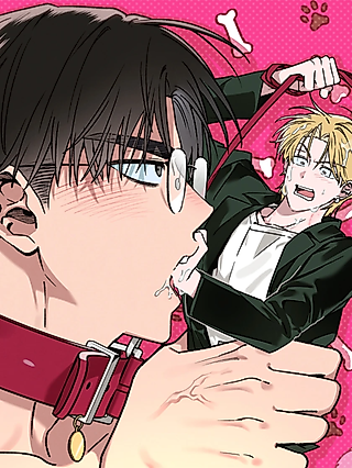 Cover image for the manhwa called From Stray to Stay