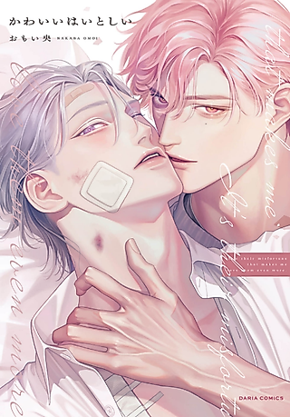 Cover image for the manga called Kawaii wa Itoshi
