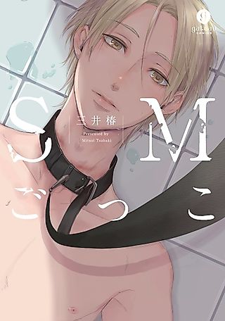 Cover image for the manga called SM games