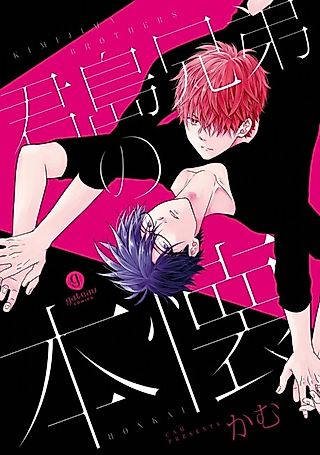 Cover image for the manga called Kimijima Kyoudai no Honkai