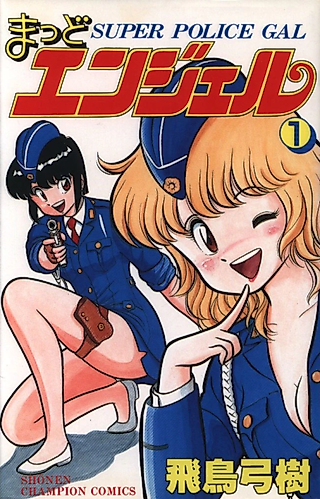 Cover image for the manga called Mad Angel