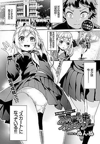 Cover image for the manga called Inner Skirt Fantasy