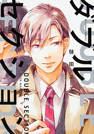 Cover image for the manga called Double Section