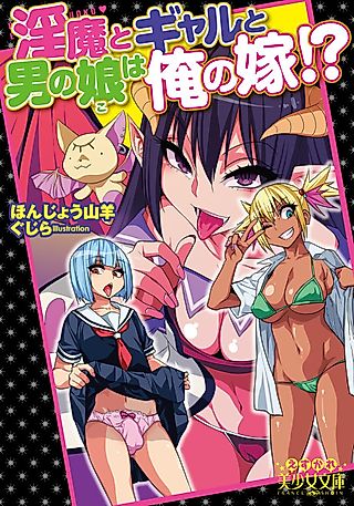 Cover image for the novel called Inma to Gal to Otoko no Ko wa Ore no Yome!?