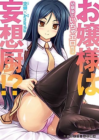 Cover image for the novel called Ojousama wa Mousouchuu!? Osananajimi to Icha Ero Seikatsu