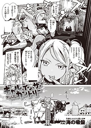 Cover image for the manga called Gal in the Country