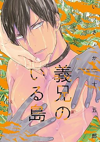 Cover image for the manga called Ani no Iru Shima