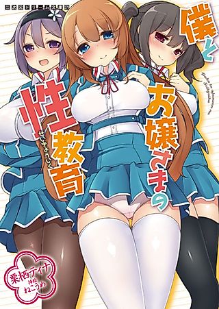 Cover image for the novel called Boku to Ojousama no Seikyouiku