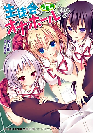 Cover image for the novel called Seitokai wa Boku Senyou Onahole!?
