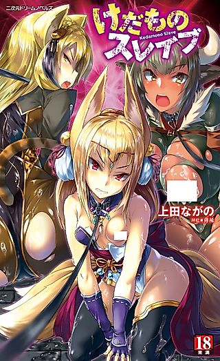 Cover image for the novel called Kedamono Slave