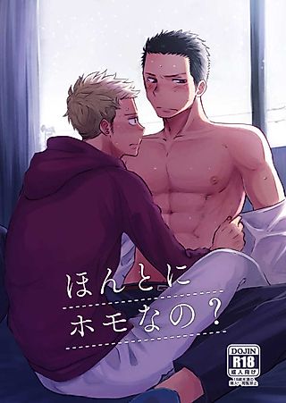 Cover image for the other called Are You Really a Homo?