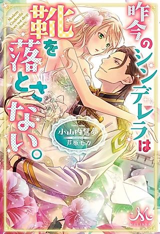 Cover image for the novel called Modern Cindellera Does Not Drop Shoes.