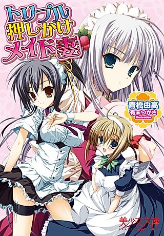 Cover image for the novel called Triple Oshikake Maid-zuma