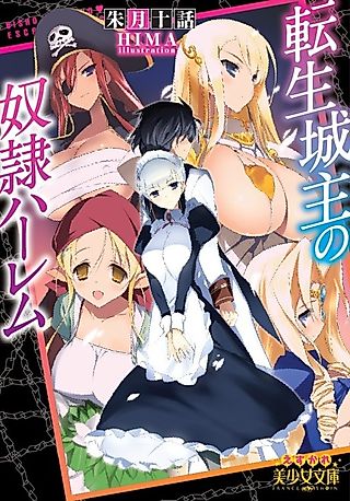 Cover image for the novel called Tensei Joushuu no Dorei Harem