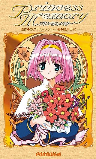 Cover image for the novel called Princess Memory
