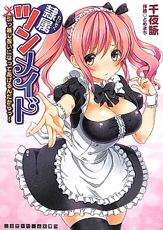Cover image for the novel called Reizoku Tsun-Maid: Hikkoshi Iwai ni Natte Agerun Dakara!