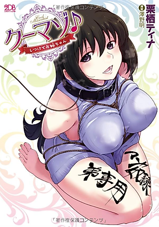 Cover image for the novel called Cool-maso♪: Shitsukete Onee-chan