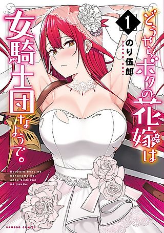 Cover image for the manga called Apparently My Bride is Like a Knight