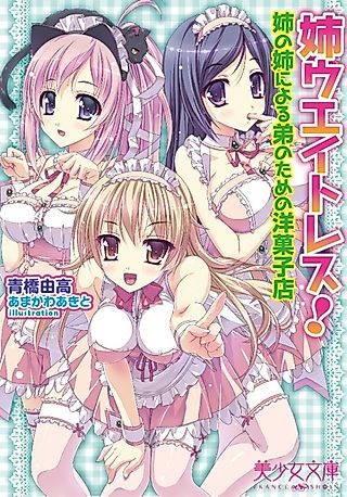 Cover image for the novel called Ane Waitress! Ane no Ane ni Yoru Otouto no Tame no Yougashiten