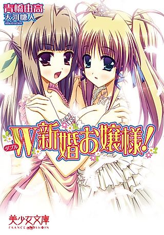 Cover image for the novel called W Shinkon Ojousama!