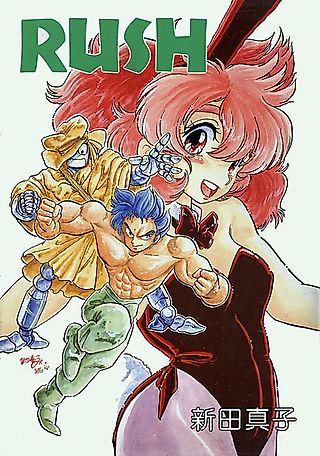 Cover image for the manga called Rush (SHINDA Mane)
