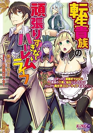 Cover image for the novel called Tensei Kizoku no Ganbarisuginai Harem Life: Sekkaku Atotsugi de wa Nai Kizoku no Rokudan ni Tensei shita n dakara Nonbiri Isekai Slow Life wo Okurou!
