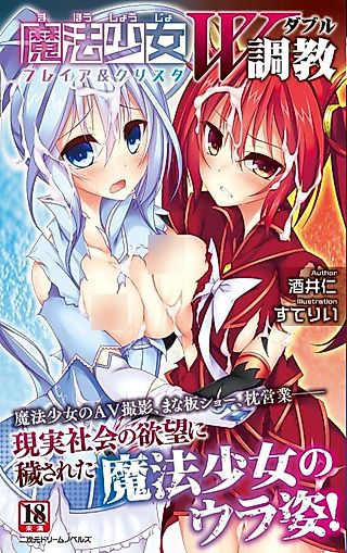 Cover image for the novel called Mahou Shoujo Double Choukyou: Freya & Crysta