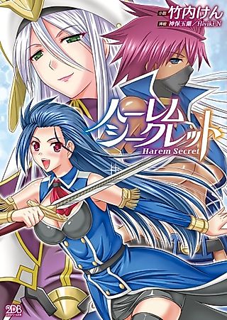Cover image for the novel called Harem Secret