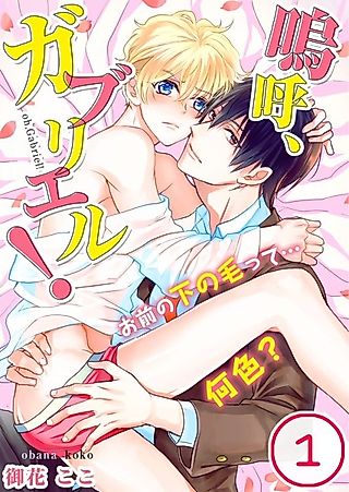 Cover image for the manga called Does the Carpet Match the Drapes?