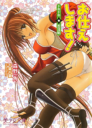 Cover image for the novel called Otsukaeshimasu! Dokidoki☆Ninpouchou