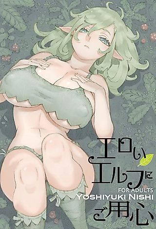 Cover image for the manga called Beware of erotic elves