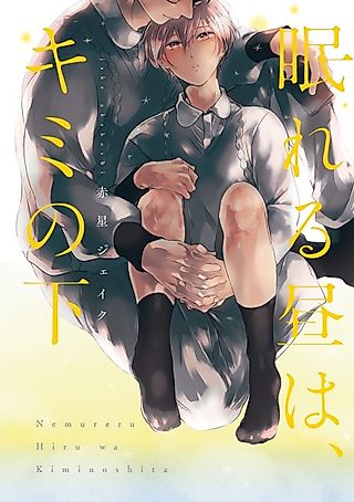 Cover image for the manga called Nemureru Hiru wa, Kimi no Shita