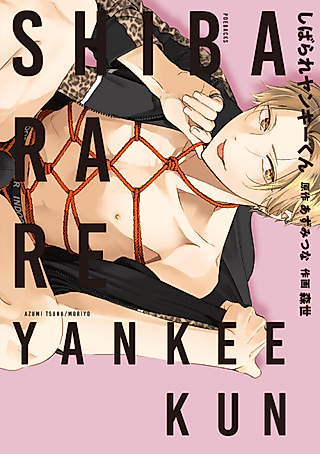 Cover image for the manga called Bound Yankee