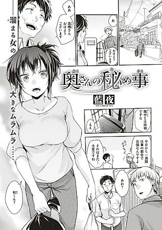 Cover image for the manga called Housewife's Secret