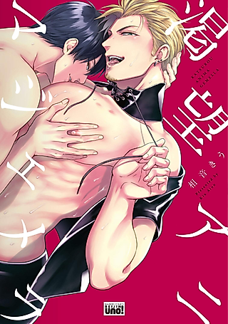 Cover image for the manga called Katsubou Anima Gemella