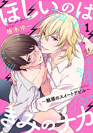 Cover image for the manga called I Wanna Feel You Inside -Seduced by a Sweet Devil-