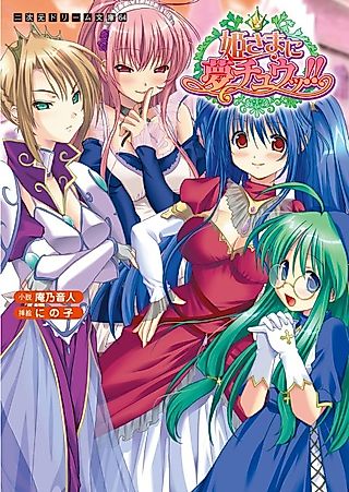 Cover image for the novel called Hime-sama ni Muchuu!!