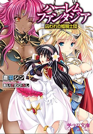 Cover image for the novel called Harem Fantasia: Toraware no Hime Kishidan
