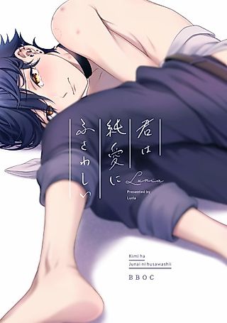 Cover image for the manga called Kimi wa Junai ni Fusawashii