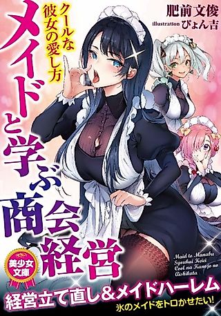Cover image for the novel called Maid to Manabu Shoukai Keiei: Cool na Kanojo no Aishikata