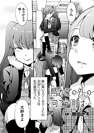 Cover image for the manga called Torikago no Soto no Mukougawa wa…