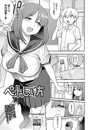 Cover image for the manga called How to Train Your Pet